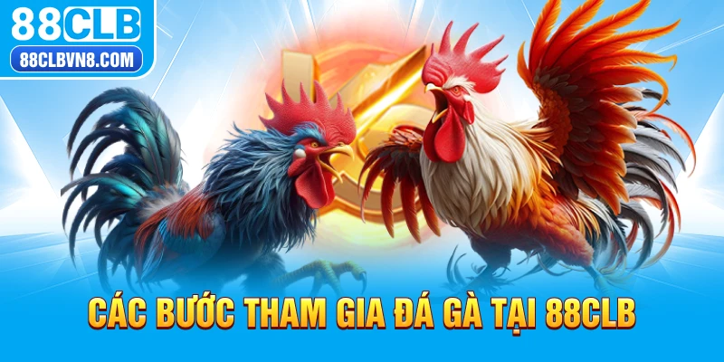 Các bước tham gia đá gà tại 88CLB