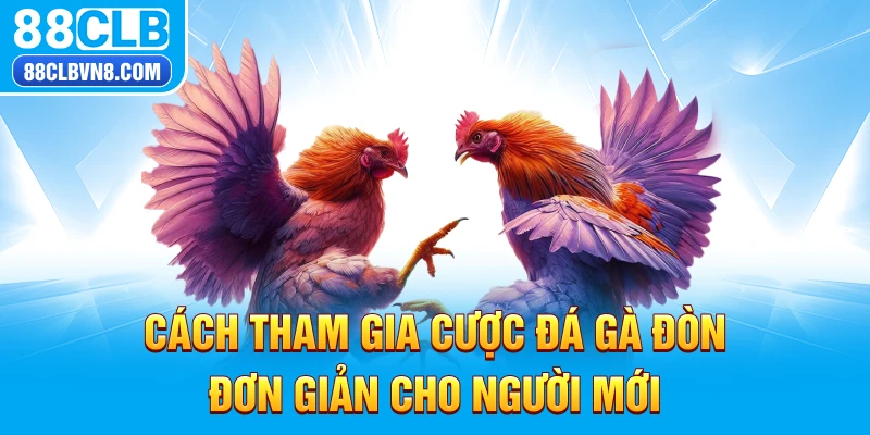 Cách tham gia cược đá gà đòn đơn giản cho người mới