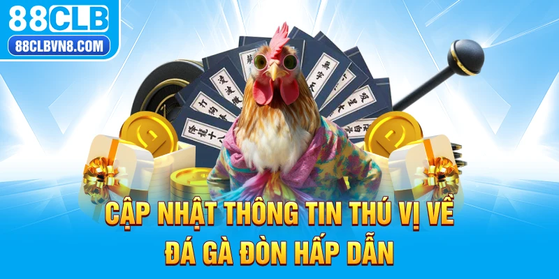 Cập nhật thông tin thú vị về đá gà đòn hấp dẫn