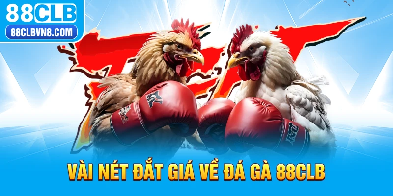 Vài nét đắt giá về đá gà 88CLB